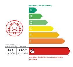 Tableau de diagnostic de la performance &eacute;nerg&eacute;tique des logements